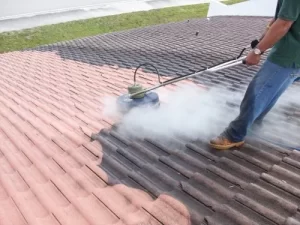 Roof Cleaning Services